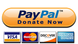 NETABSE PayPal Donate Button NETABSE PayPal Donate Button